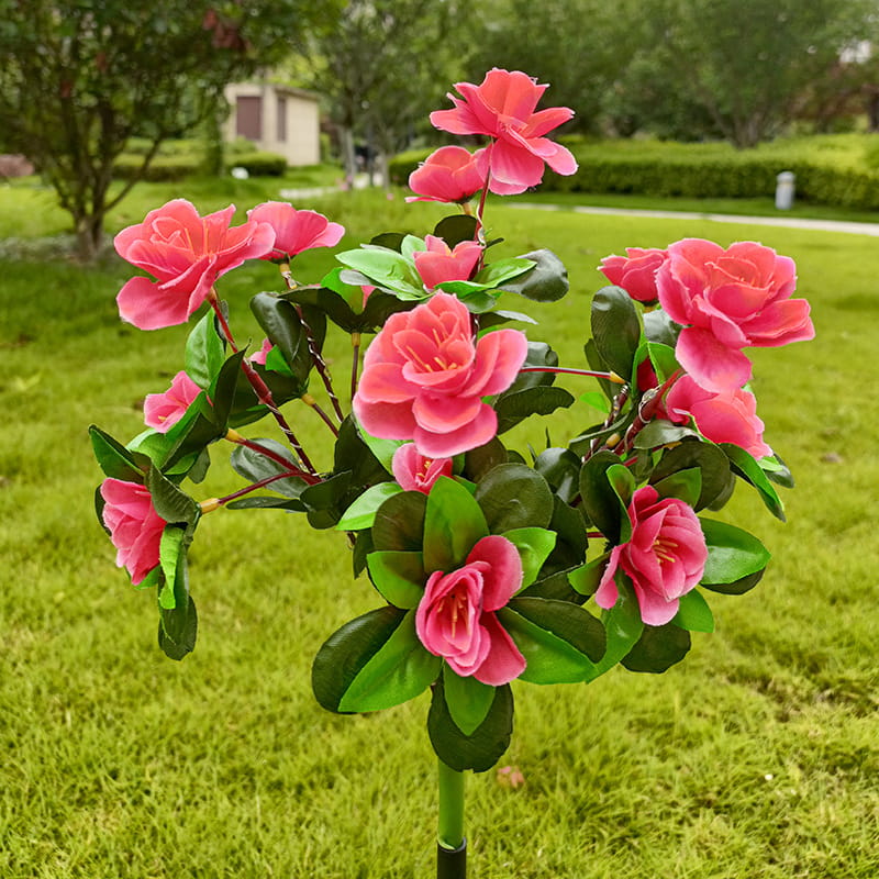 EVEDIOR Solar Azalea Flower Lights - Dual Mode Warm & RGB Outdoor Garden Stake | IP-Rated Waterproof Floral Pathway Sconce