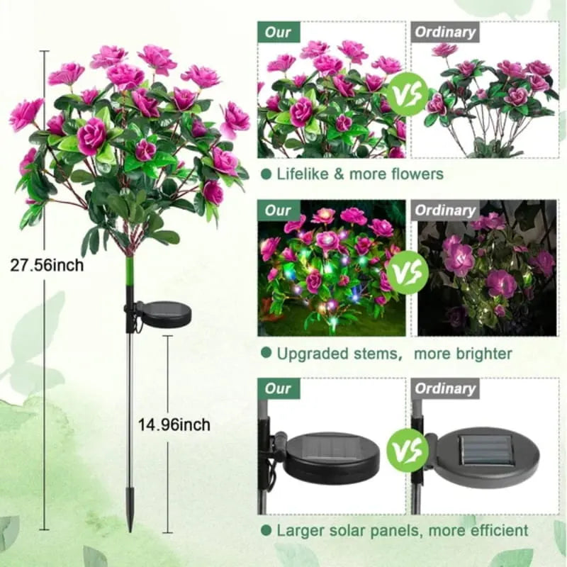 EVEDIOR Solar Azalea Flower Lights - Dual Mode Warm & RGB Outdoor Garden Stake | IP-Rated Waterproof Floral Pathway Sconce
