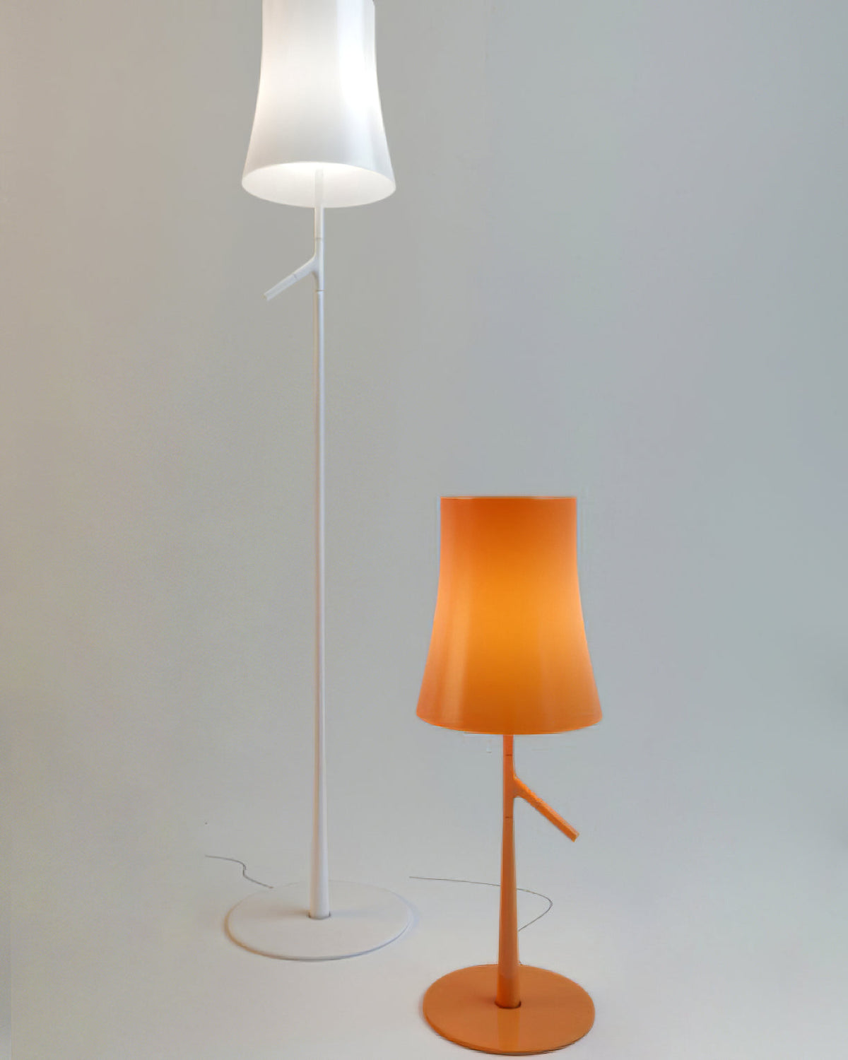 Birdie Floor Lamp – Contemporary Botanical Iron Standing Floor Light