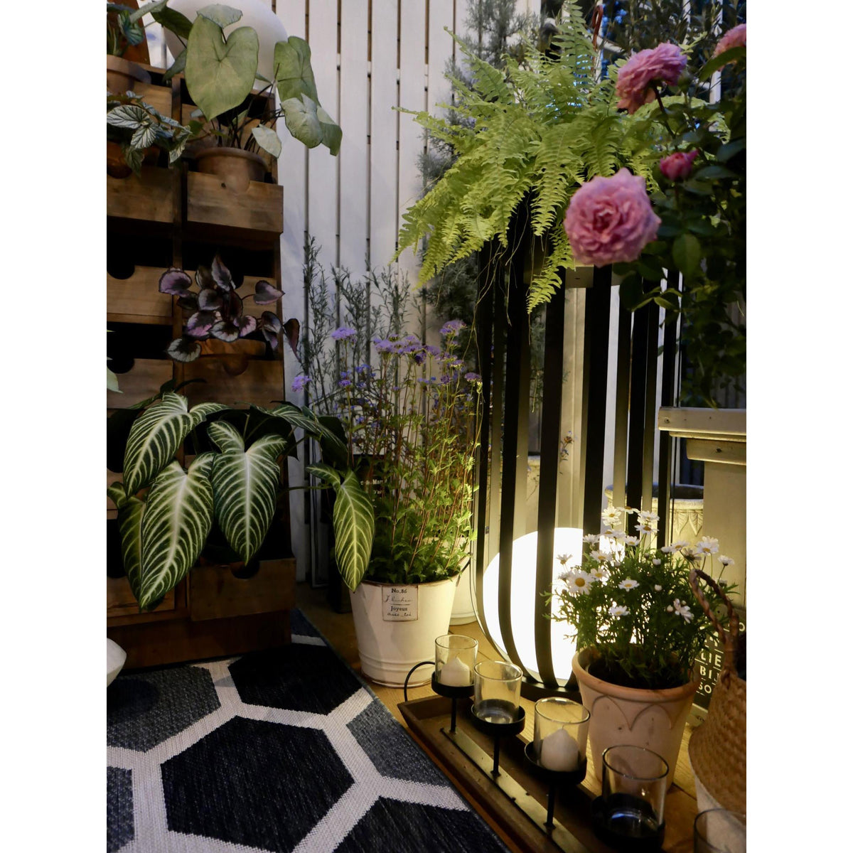 Bols Garden Outdoor Lamp – IP65 Waterproof Stainless Steel & Acrylic Landscape Light