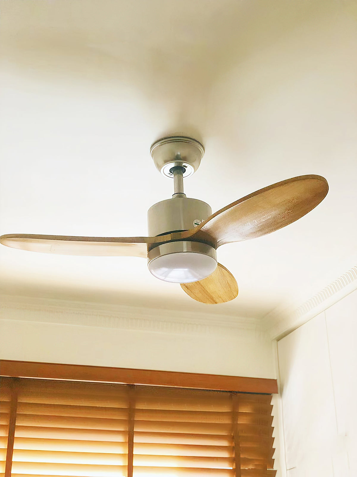 Calisse 42″ Ceiling Fan Light – 3 Solid Wood Blade DC Motor LED Ceiling Fan
