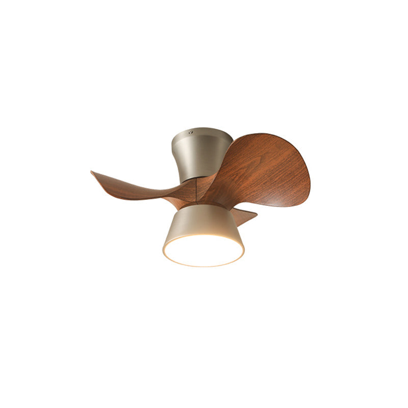 Corabelle Ceiling Fan Light – Low-Profile DC Motor LED Ceiling Fan