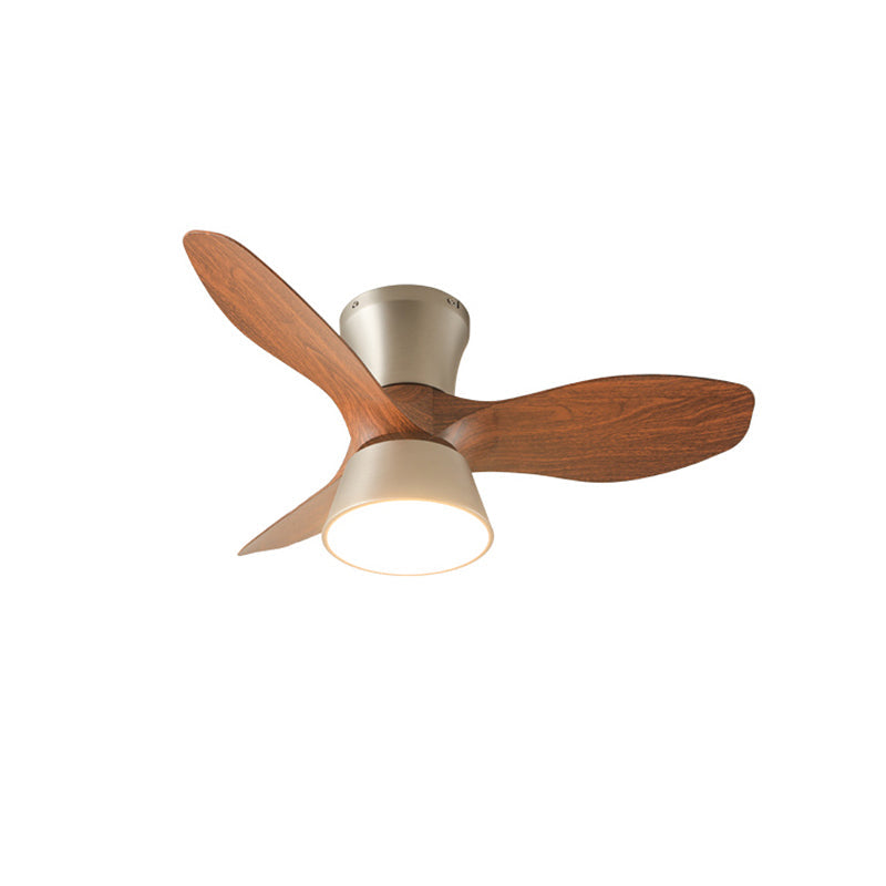 Corabelle Ceiling Fan Light – Low-Profile DC Motor LED Ceiling Fan