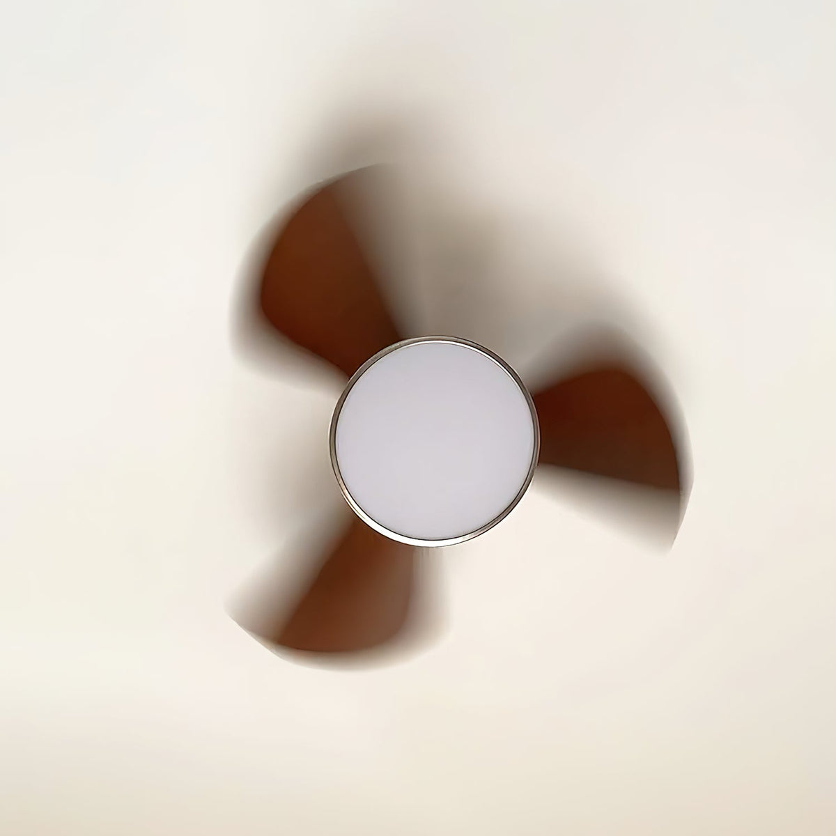 Corabelle Ceiling Fan Light – Low-Profile DC Motor LED Ceiling Fan