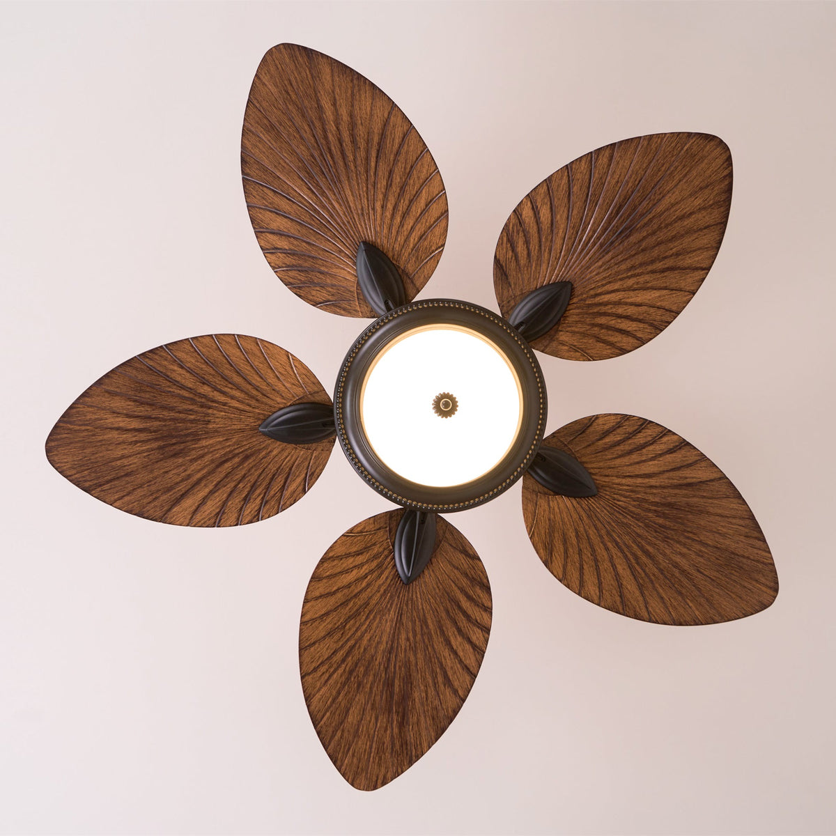 Cruise 42″ Ceiling Fan Light – Indoor/Outdoor DC Motor LED Ceiling Fan