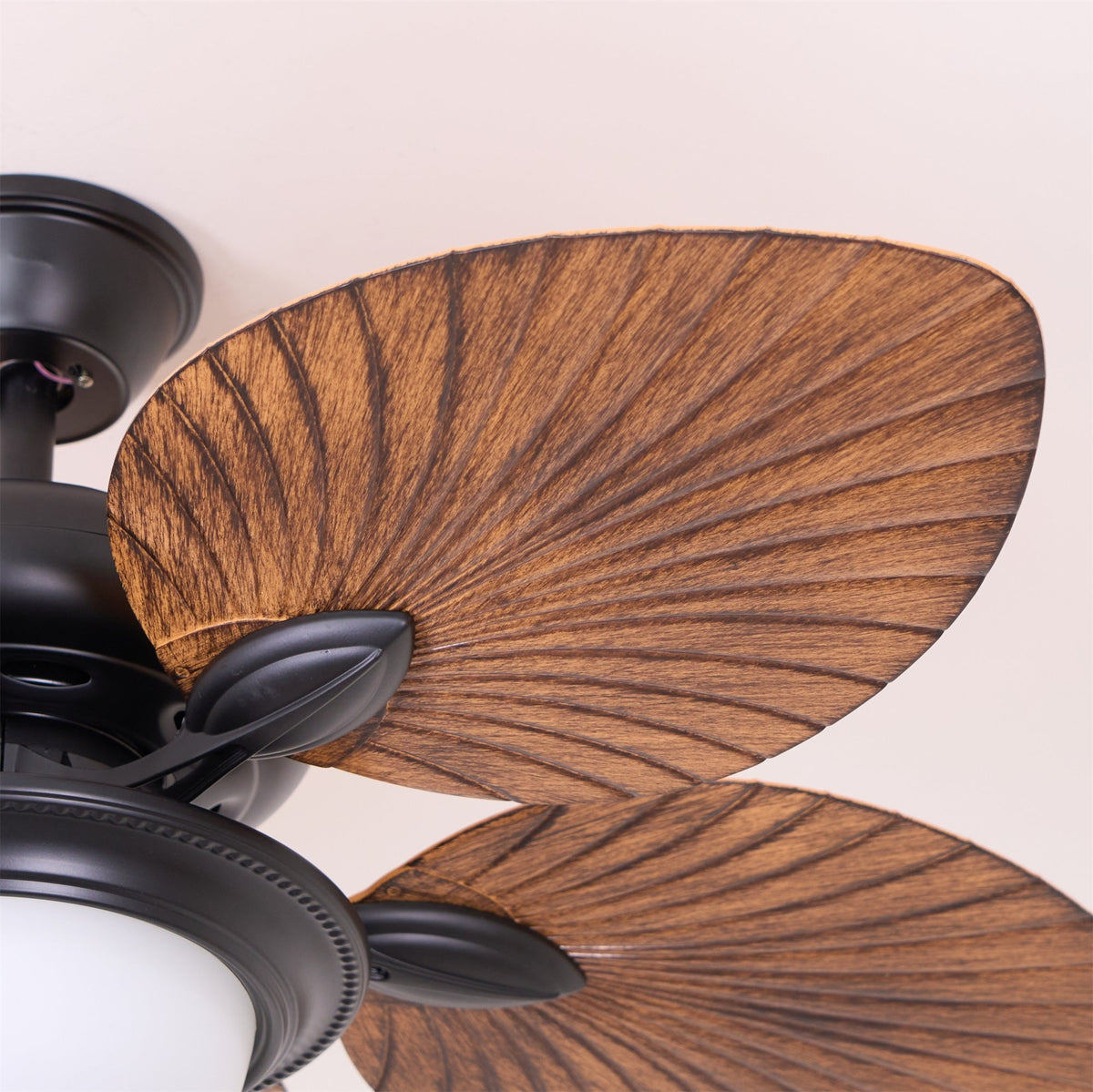 Cruise 42″ Ceiling Fan Light – Indoor/Outdoor DC Motor LED Ceiling Fan