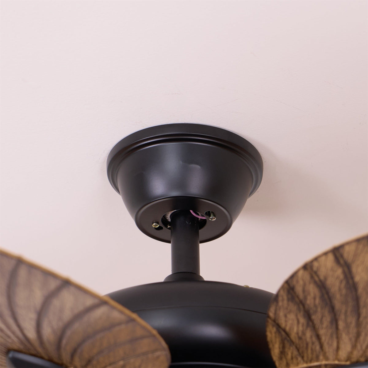 Cruise 42″ Ceiling Fan Light – Indoor/Outdoor DC Motor LED Ceiling Fan