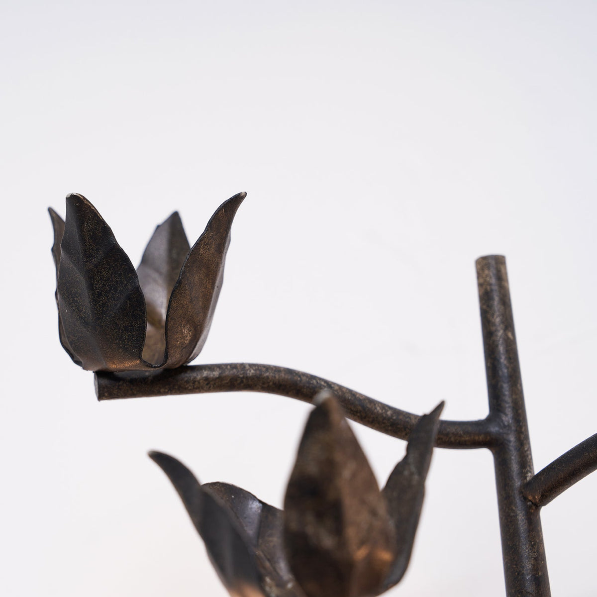 Ferroarte Branch Wall Lamp – Rust Iron Botanical Wall Sconce