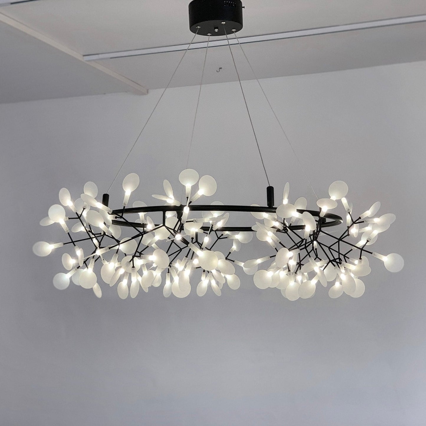 Heracleum Round Chandelier - Modern Botanical LED Chandelier | Rose Gold & Black