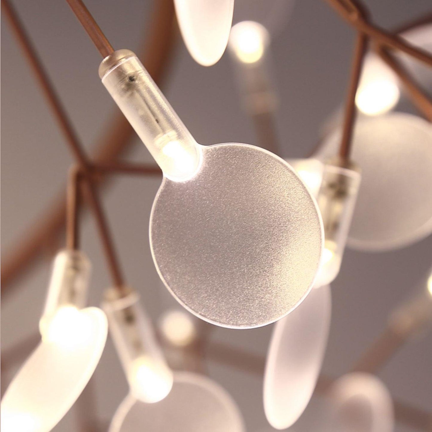 Heracleum Round Chandelier - Modern Botanical LED Chandelier | Rose Gold & Black