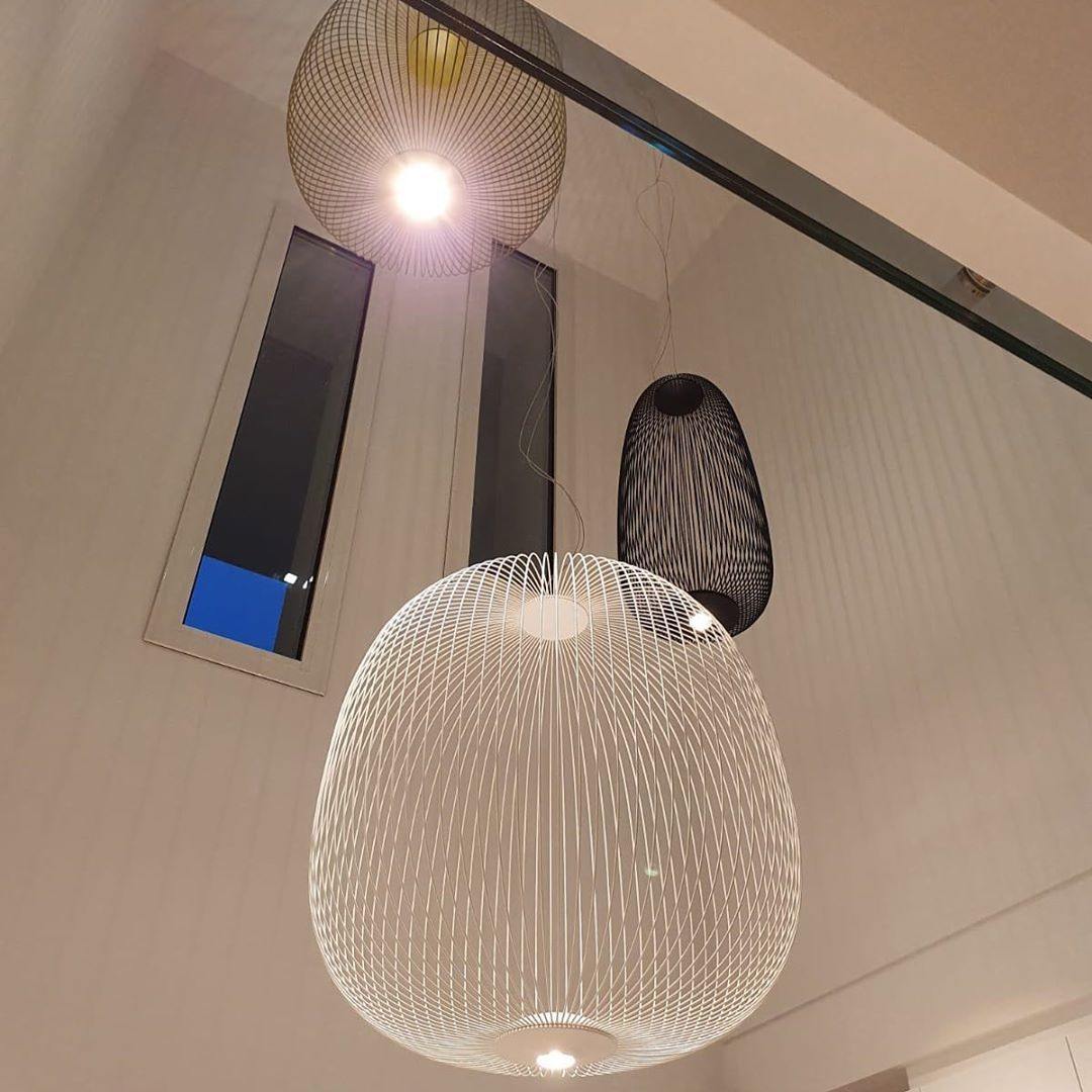 Spokes Cage Pendant Lamp - Wire Cage Geometric Overhead Light | Modern Aviary LED Pendant