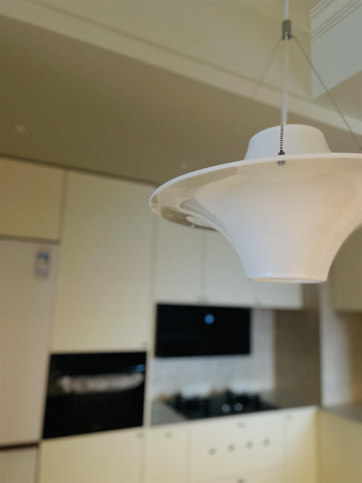 Lokki Pendant Lamp - Iconic Nordic Acrylic Wavy Seagull Pendant Light