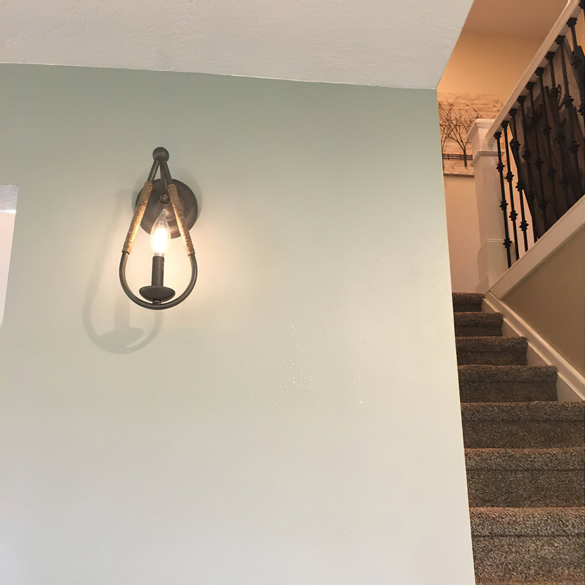 Meridian Wall Lamp - Teardrop Black Iron & Rope Indoor/Outdoor Sconce