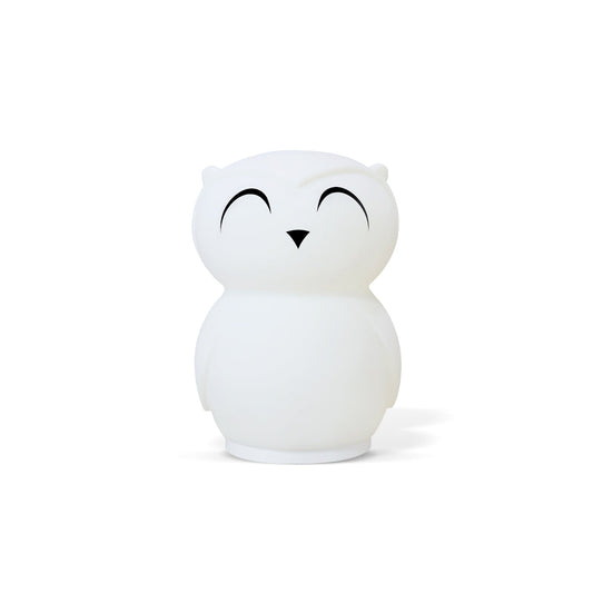 Owl Timing Night Light - Rechargeable Silicone LED Nursery Lamp | 30/60min Timer & Colorful Remote Control