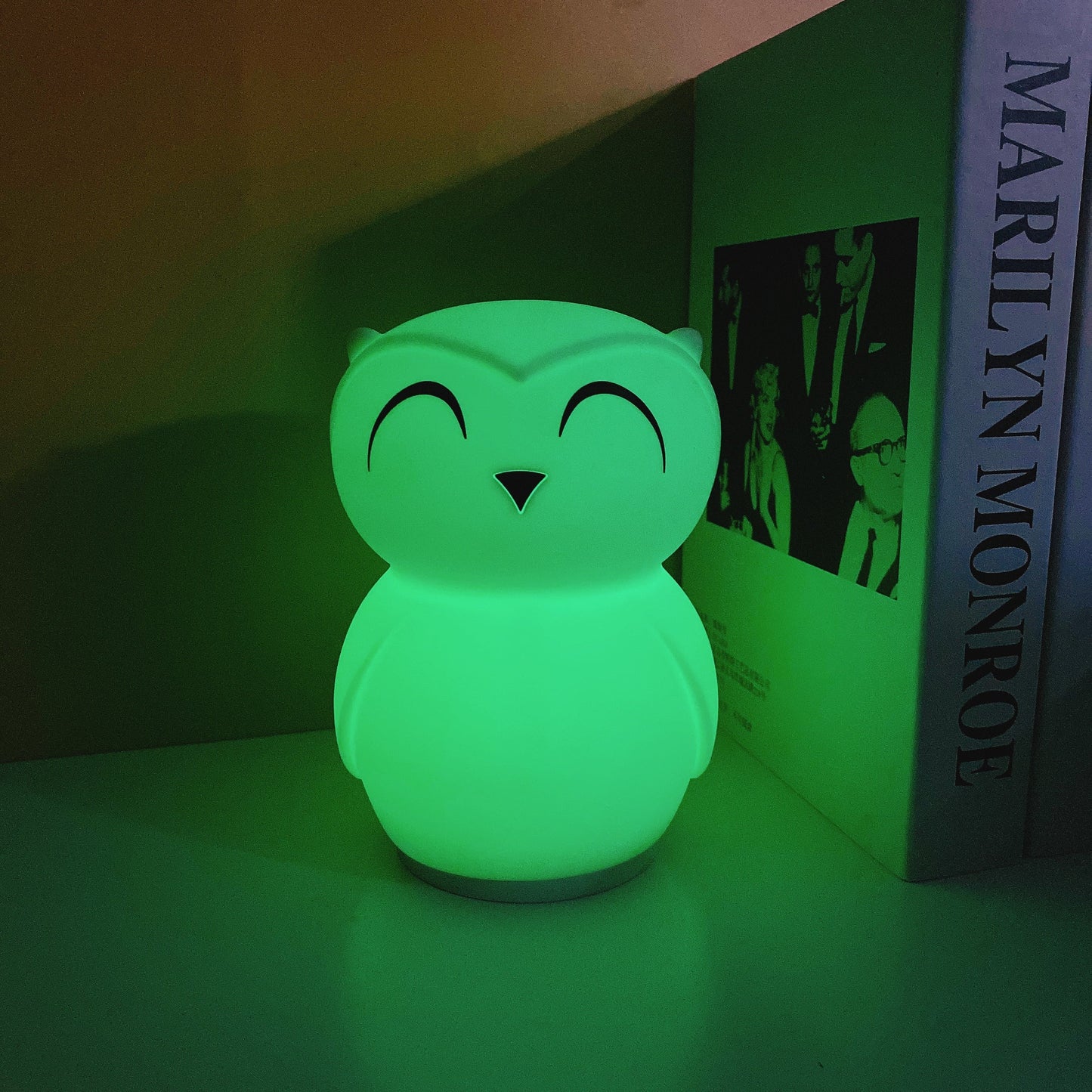 Owl Timing Night Light - Rechargeable Silicone LED Nursery Lamp | 30/60min Timer & Colorful Remote Control