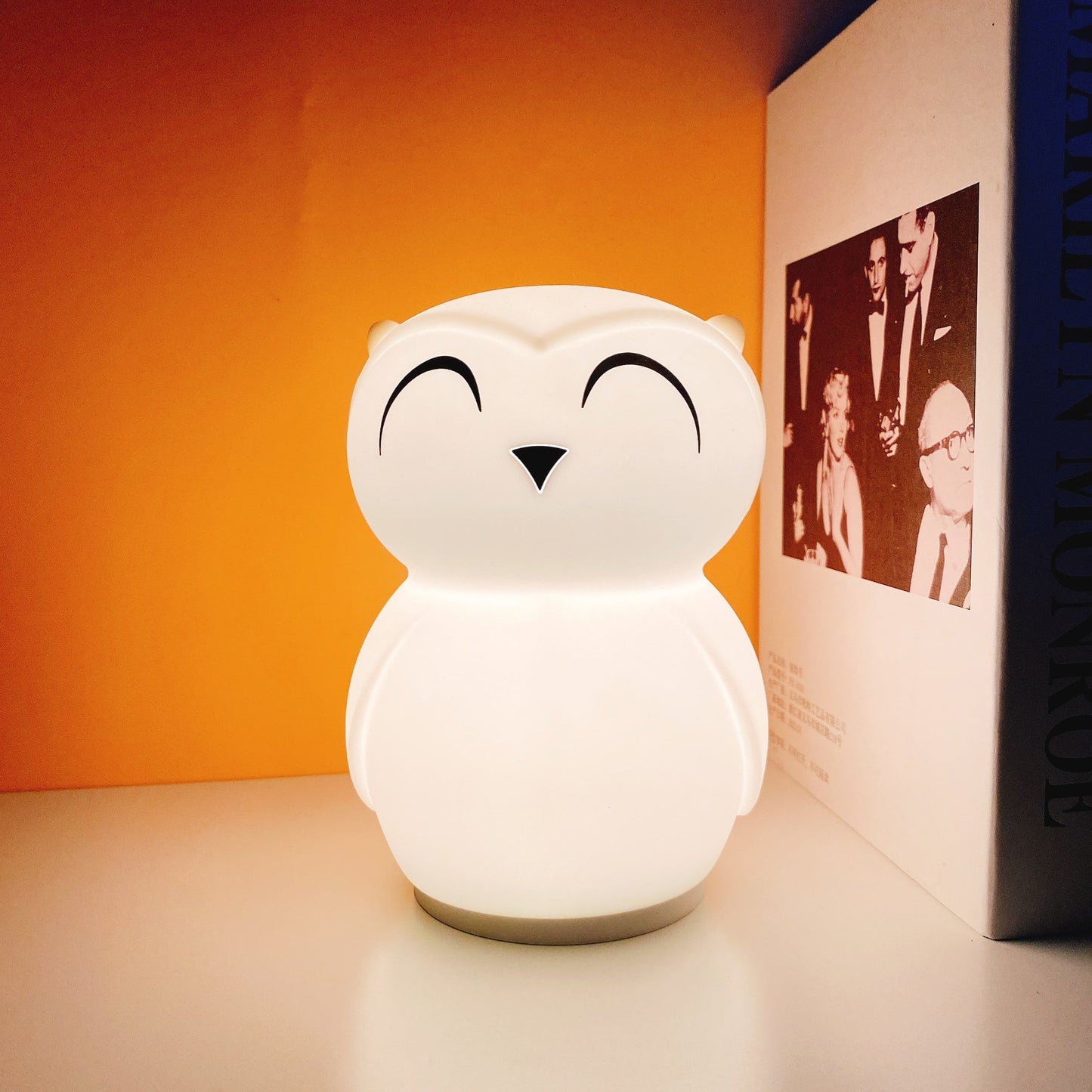 Owl Timing Night Light - Rechargeable Silicone LED Nursery Lamp | 30/60min Timer & Colorful Remote Control