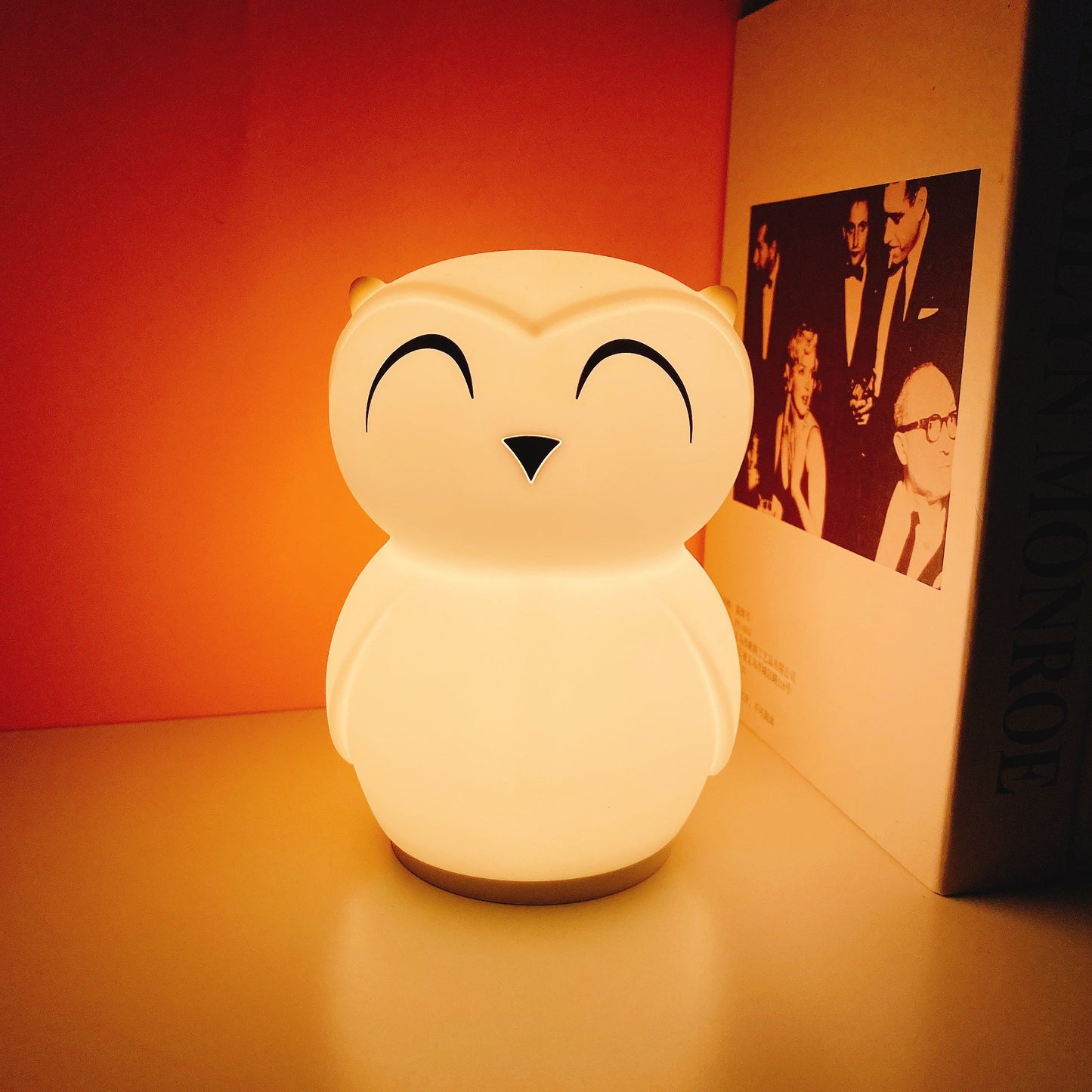 Owl Timing Night Light - Rechargeable Silicone LED Nursery Lamp | 30/60min Timer & Colorful Remote Control