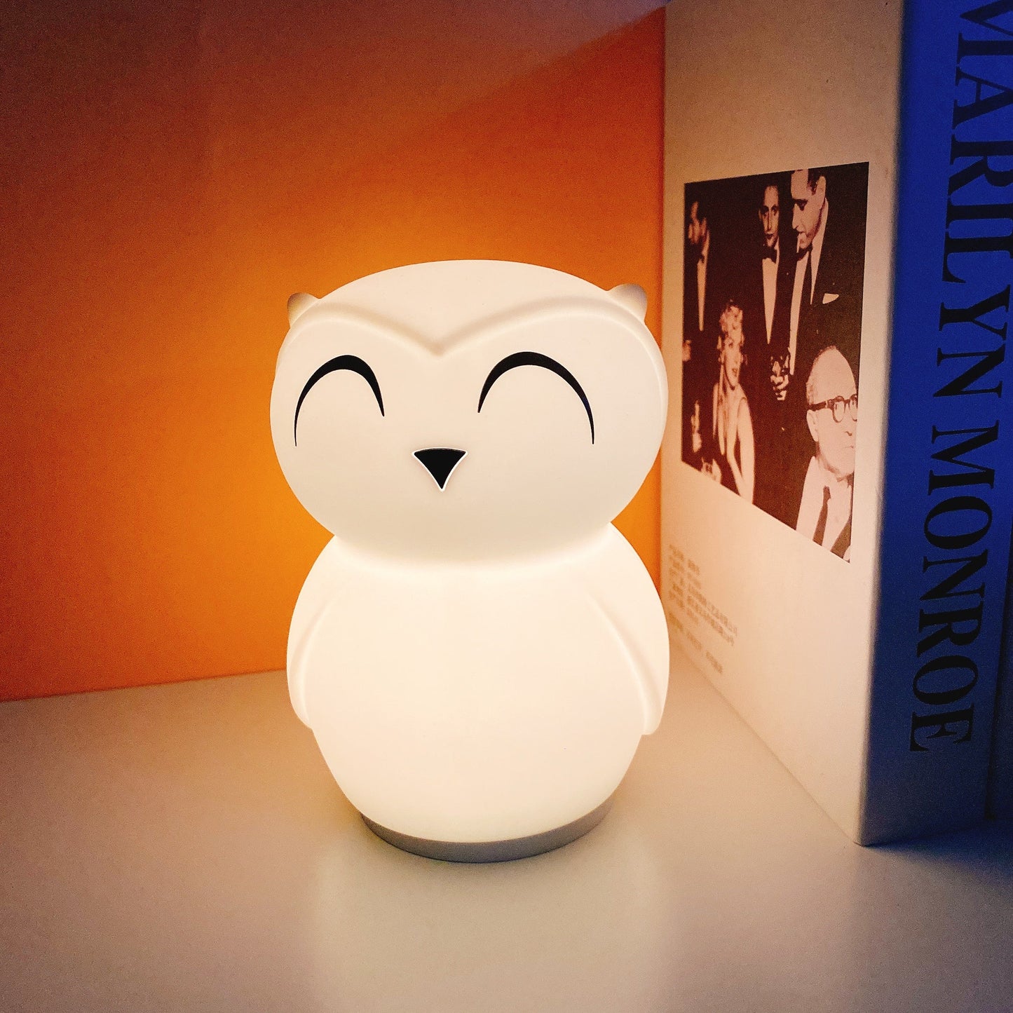 Owl Timing Night Light - Rechargeable Silicone LED Nursery Lamp | 30/60min Timer & Colorful Remote Control