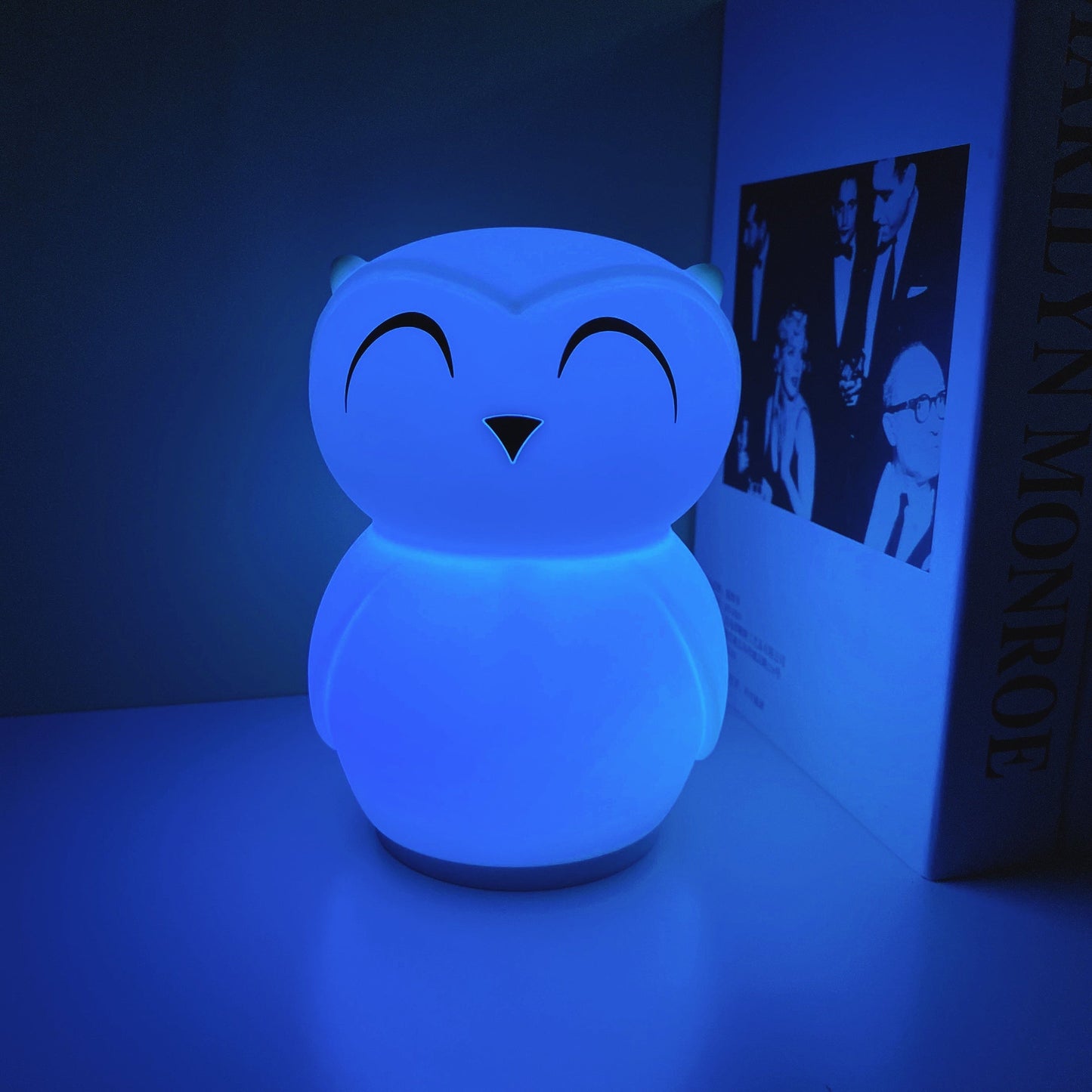 Owl Timing Night Light - Rechargeable Silicone LED Nursery Lamp | 30/60min Timer & Colorful Remote Control