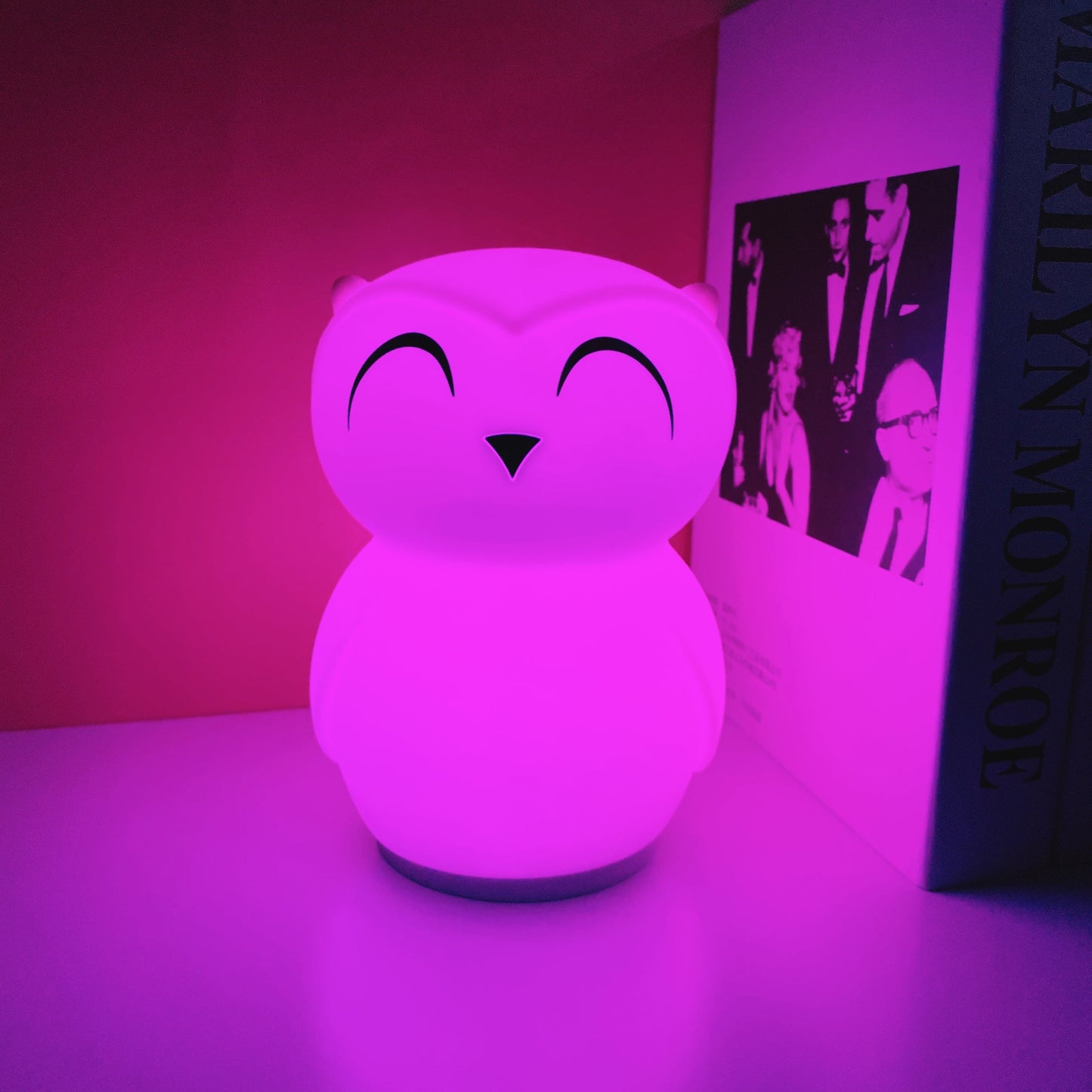 Owl Timing Night Light - Rechargeable Silicone LED Nursery Lamp | 30/60min Timer & Colorful Remote Control