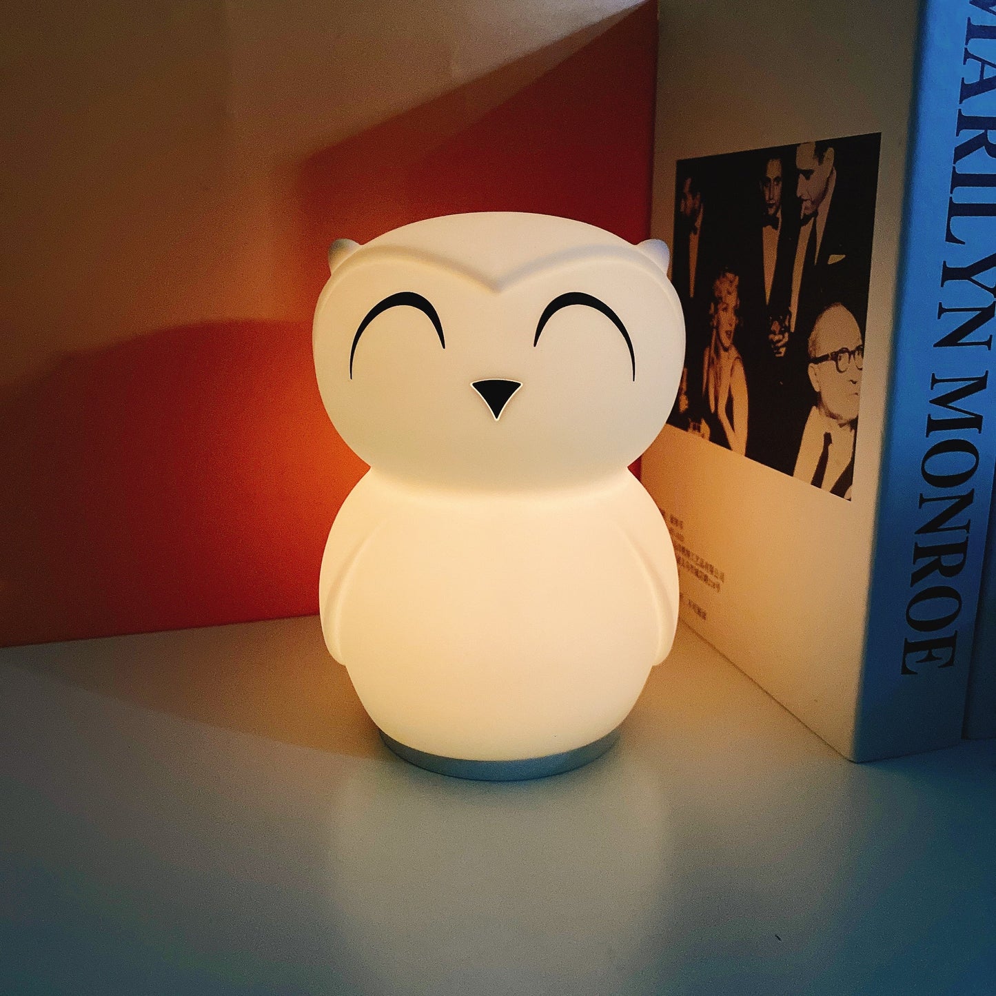 Owl Timing Night Light - Rechargeable Silicone LED Nursery Lamp | 30/60min Timer & Colorful Remote Control