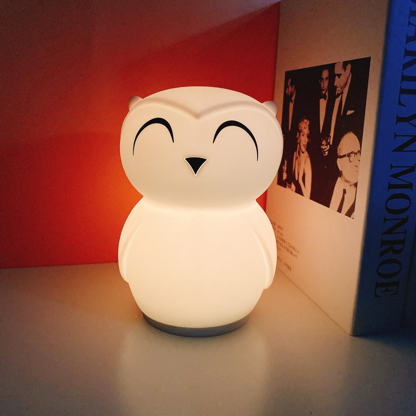 Owl Timing Night Light - Rechargeable Silicone LED Nursery Lamp | 30/60min Timer & Colorful Remote Control