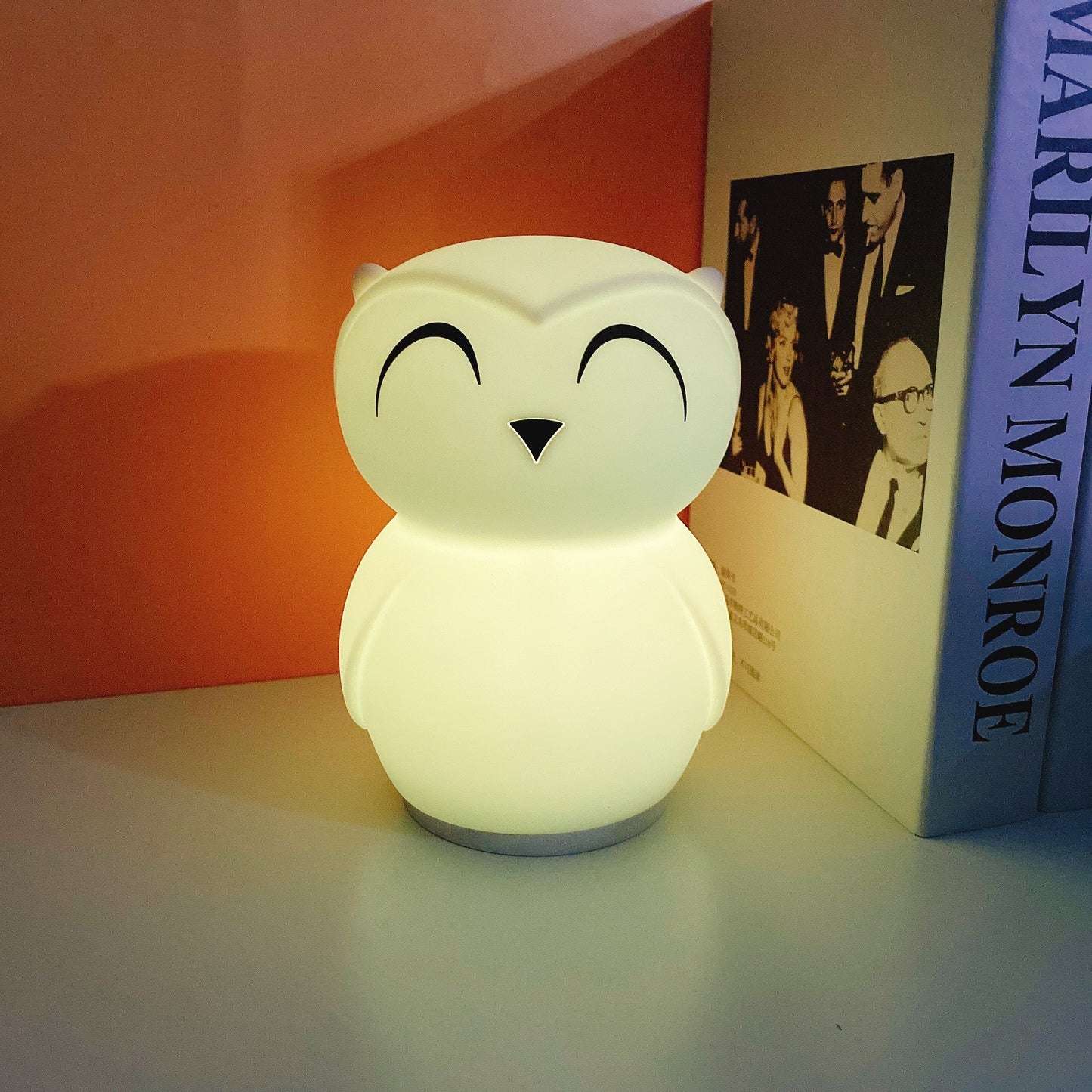 Owl Timing Night Light - Rechargeable Silicone LED Nursery Lamp | 30/60min Timer & Colorful Remote Control