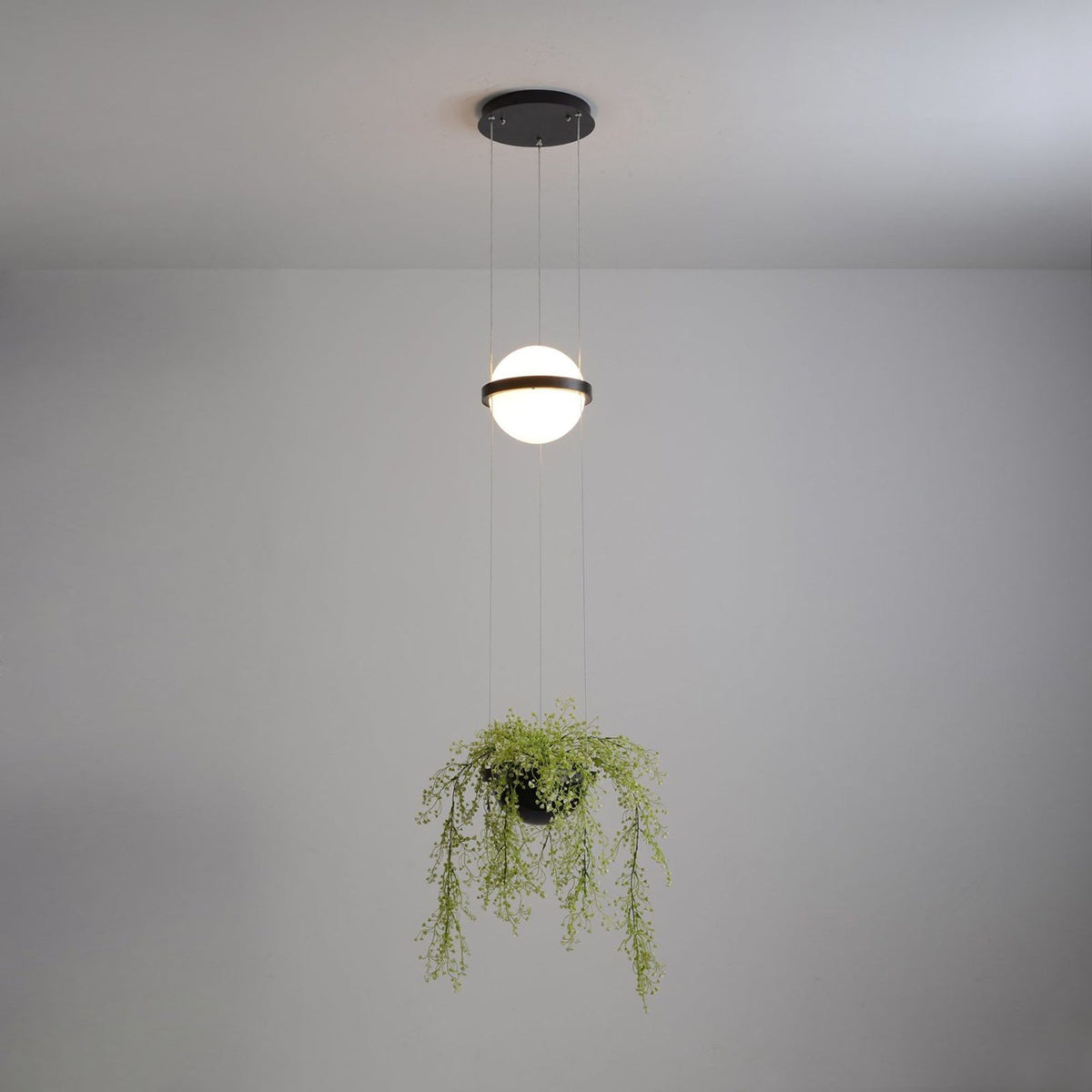 Palma Pendant Lamp - Floating Globe Light & Integrated Planter