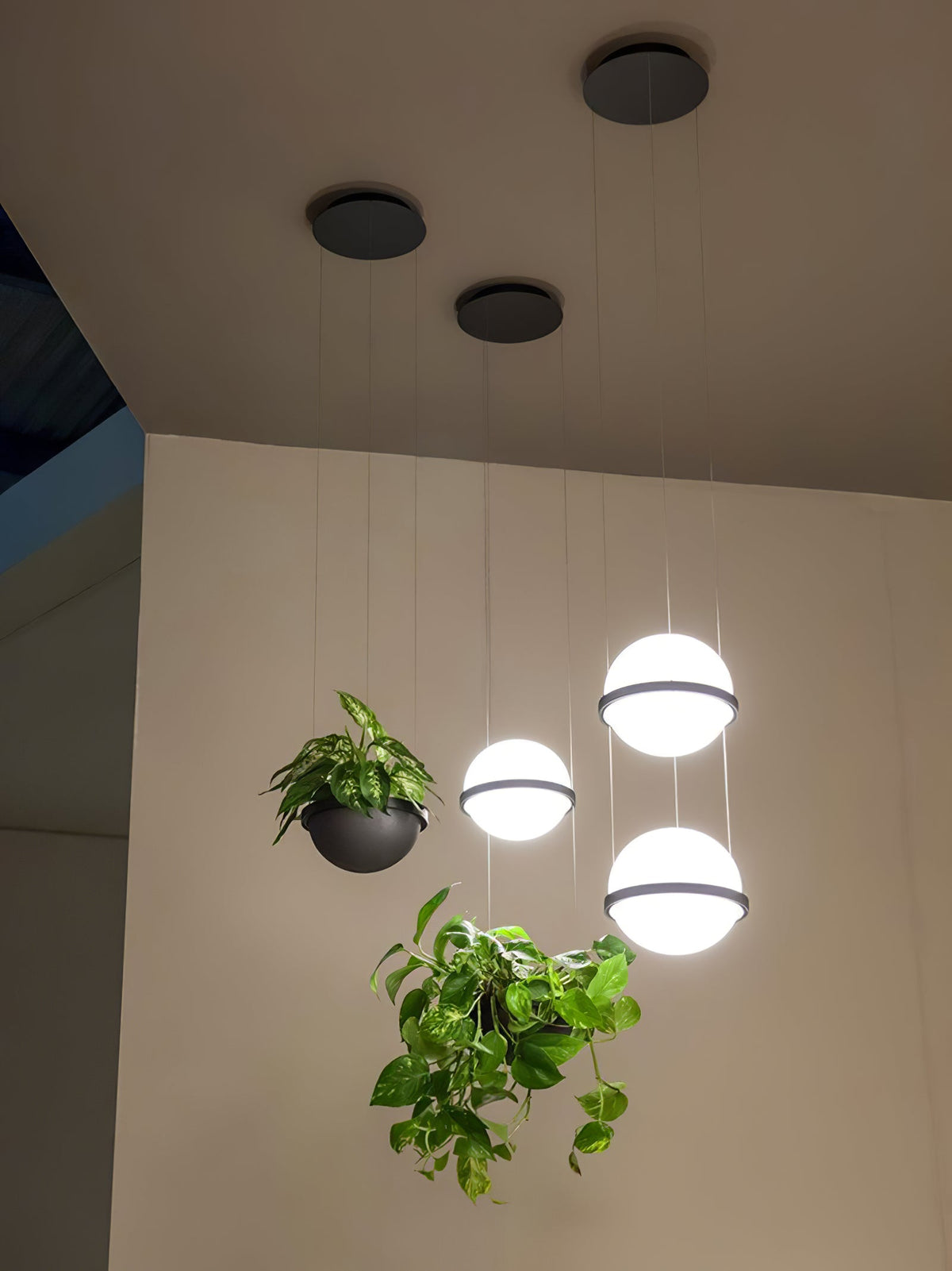 Palma Pendant Lamp - Floating Globe Light & Integrated Planter