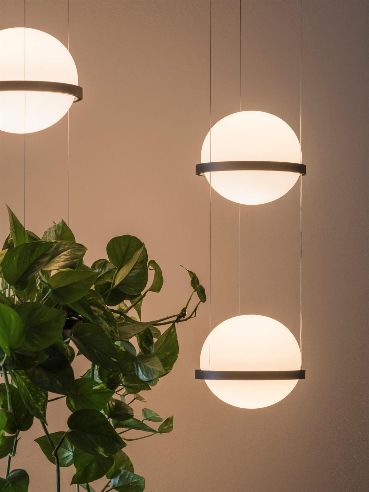 Palma Pendant Lamp - Floating Globe Light & Integrated Planter