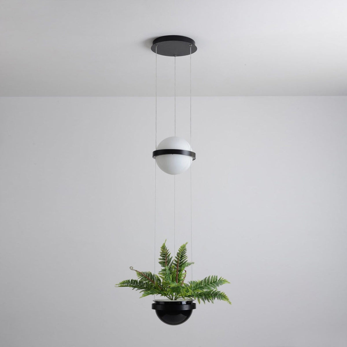 Palma Pendant Lamp - Floating Globe Light & Integrated Planter