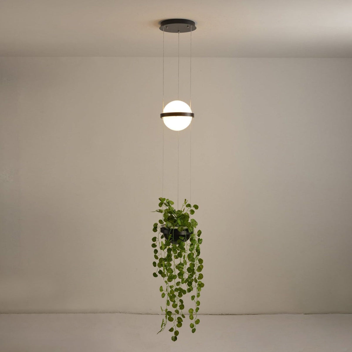 Palma Pendant Lamp - Floating Globe Light & Integrated Planter