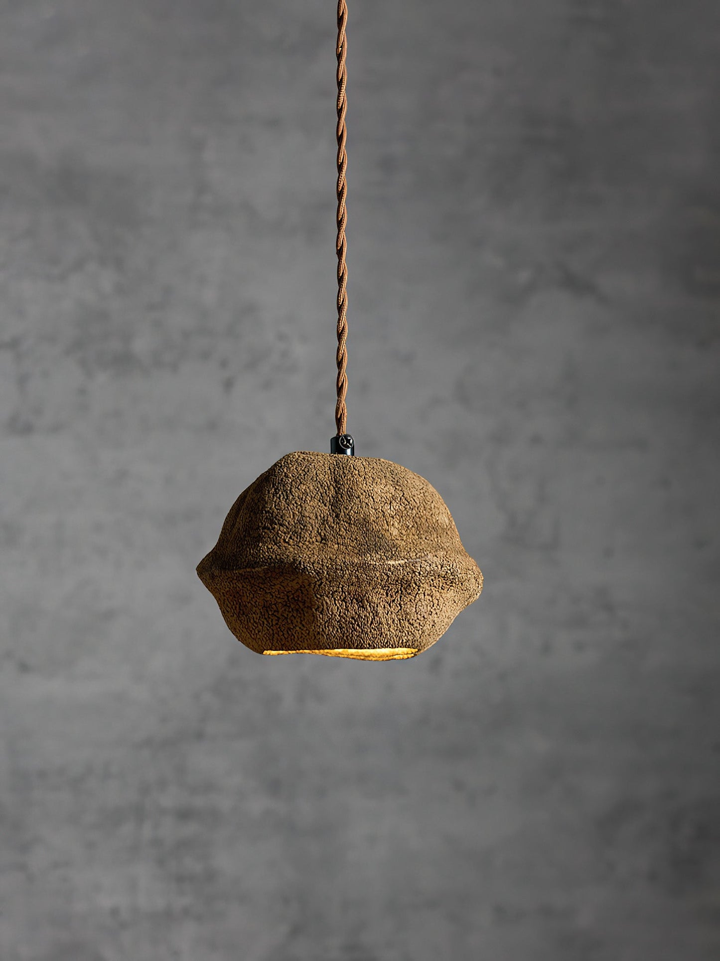 Patchvara Pendant Lamp - Natural Monkey Bowl Tree Husk Pendant | Modern Organic Fruit Shell Lighting