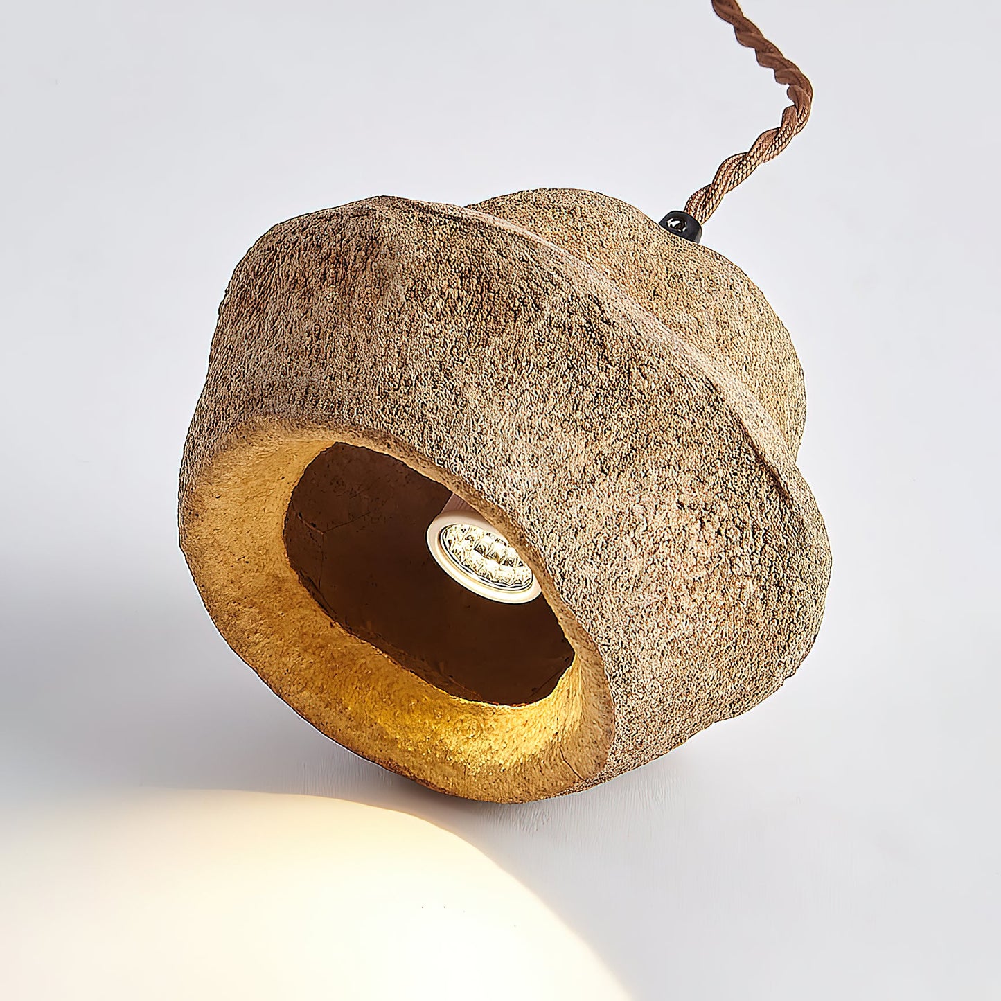 Patchvara Pendant Lamp - Natural Monkey Bowl Tree Husk Pendant | Modern Organic Fruit Shell Lighting