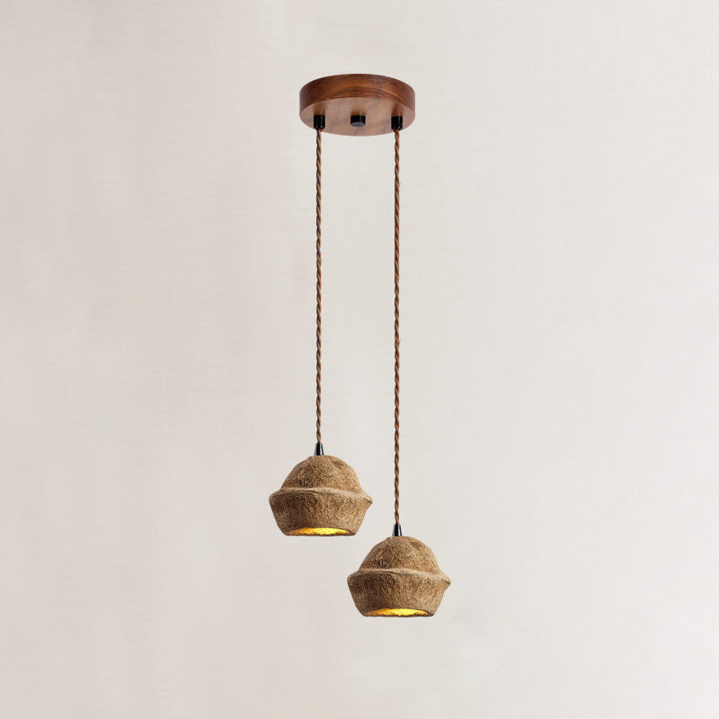 Patchvara Pendant Lamp - Natural Monkey Bowl Tree Husk Pendant | Modern Organic Fruit Shell Lighting