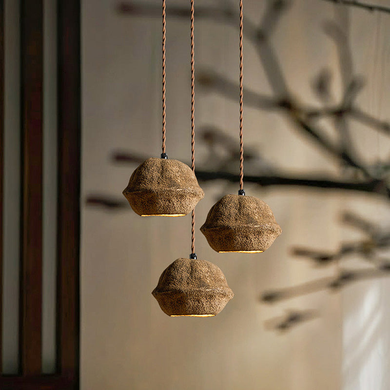 Patchvara Pendant Lamp - Natural Monkey Bowl Tree Husk Pendant | Modern Organic Fruit Shell Lighting