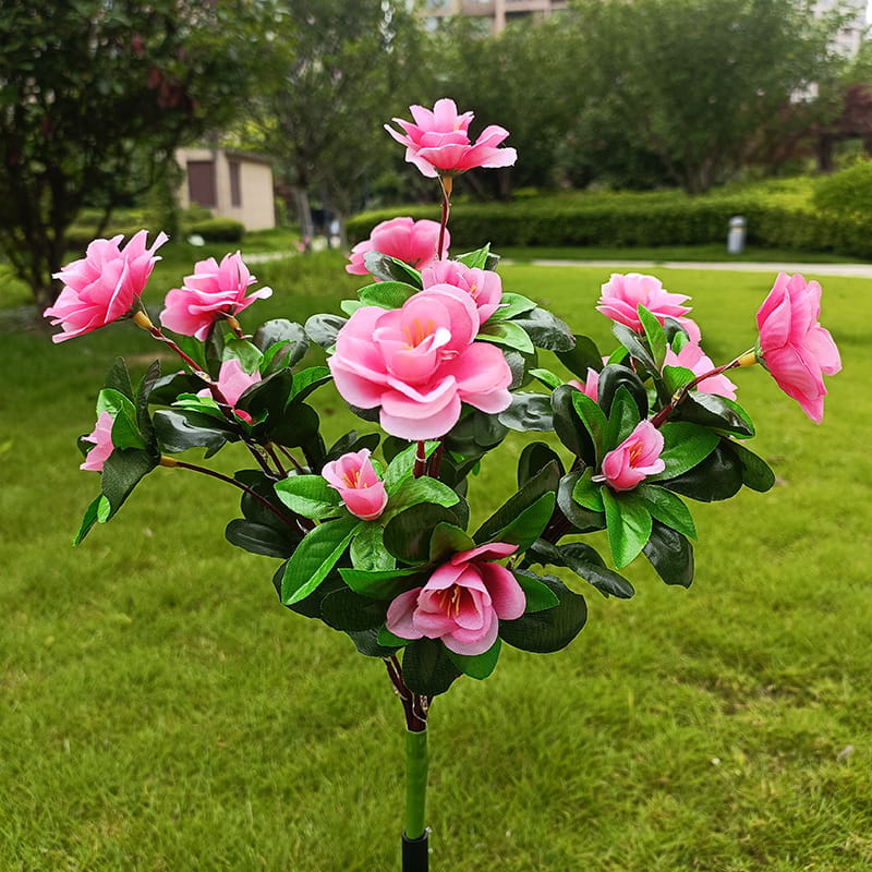 EVEDIOR Solar Azalea Flower Lights - Dual Mode Warm & RGB Outdoor Garden Stake | IP-Rated Waterproof Floral Pathway Sconce