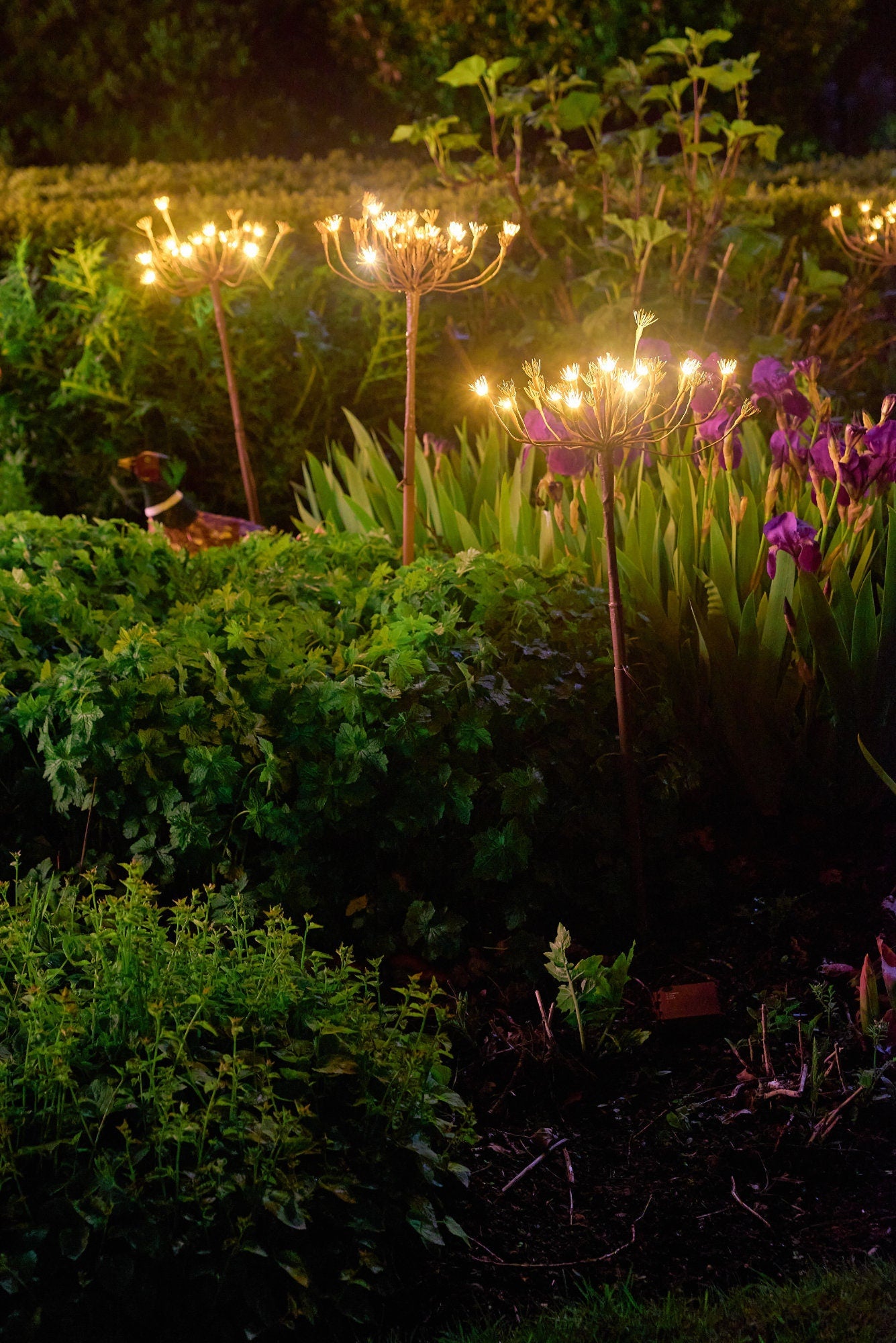 Solar Wild Fennel Light - 15 LED Dual-Powered Botanical Stake Light