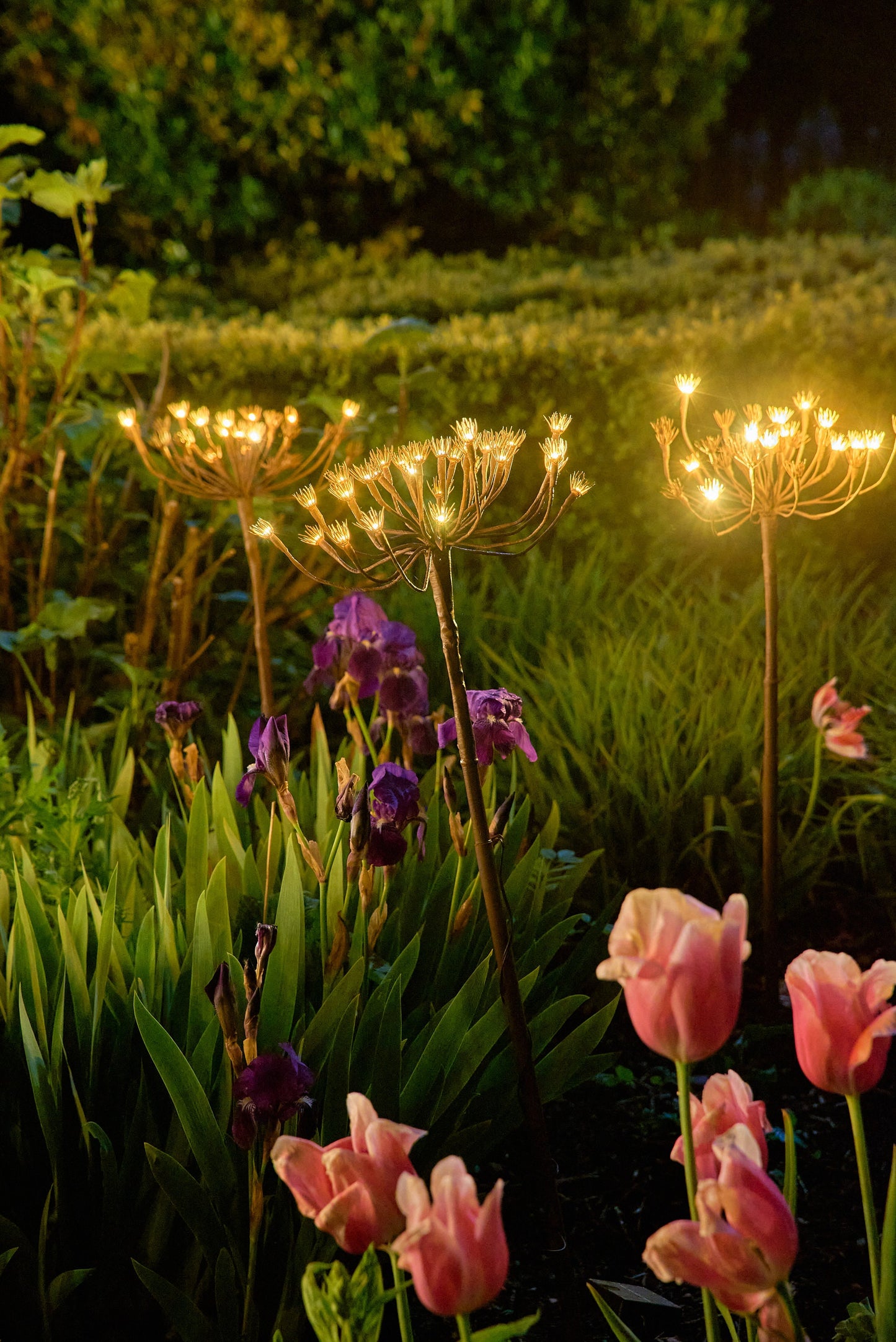 Solar Wild Fennel Light - 15 LED Dual-Powered Botanical Stake Light