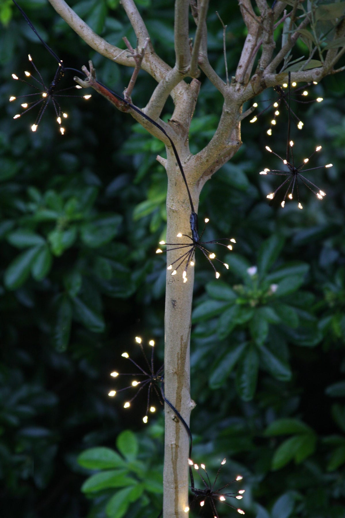 Starburst Chain Lights – Indoor & Outdoor Fireworks String Lights