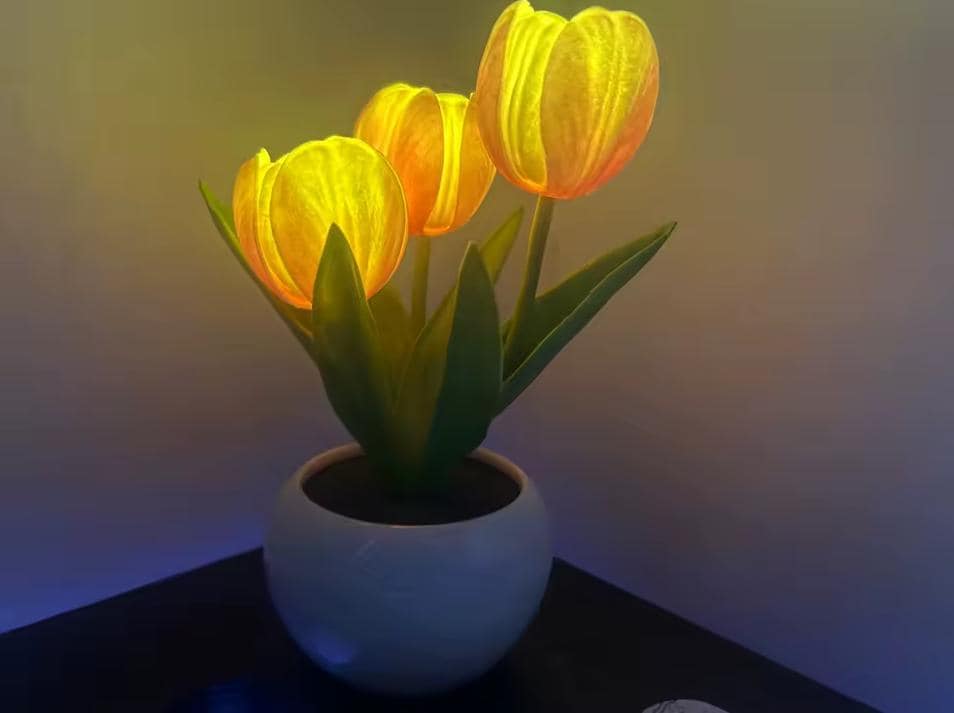 Tulip Flower Table Lamp - Ceramic Pot LED Floral Night Light for Bedroom & Vanity